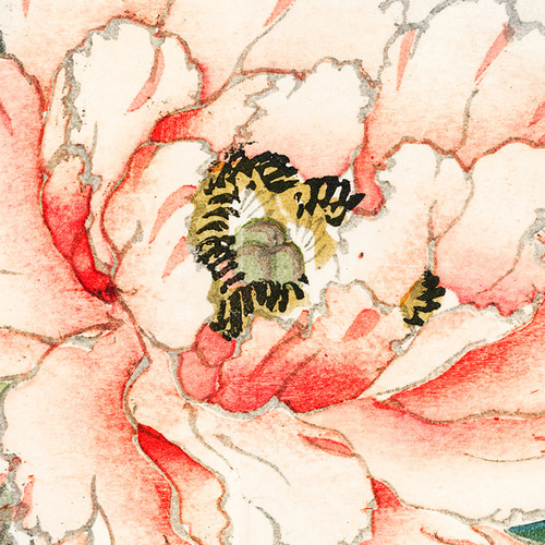 富貴花　牡丹　田中真？　フウキカ　ぼたん　和風画　日本画　ジャパニーズアート　花 高橋天山（旧雅号：秀年）「富貴花（牡丹）」日本画・10号 絵画