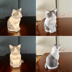 猫柄セミオーダー（カラー１色） 5枚目の画像