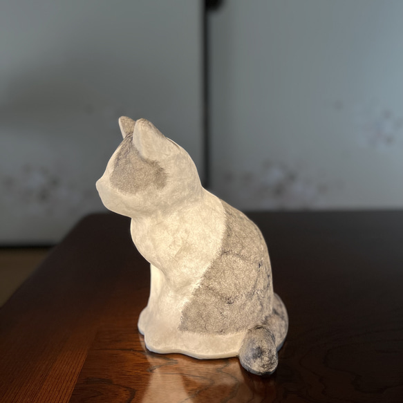 猫柄セミオーダー（カラー１色） 9枚目の画像