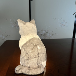 猫柄セミオーダー（カラー１色） 7枚目の画像