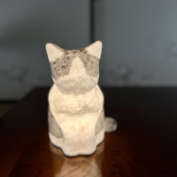 猫柄セミオーダー（カラー１色） 8枚目の画像