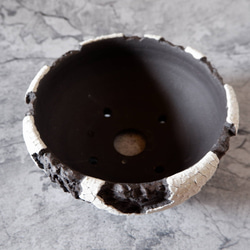 7号貫入白化粧黒平鉢374　塊根植物　多肉植物　盆栽　植木鉢　作家鉢　沖縄 4枚目の画像