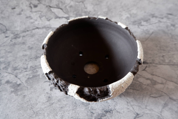 7号貫入白化粧黒平鉢374　塊根植物　多肉植物　盆栽　植木鉢　作家鉢　沖縄 4枚目の画像