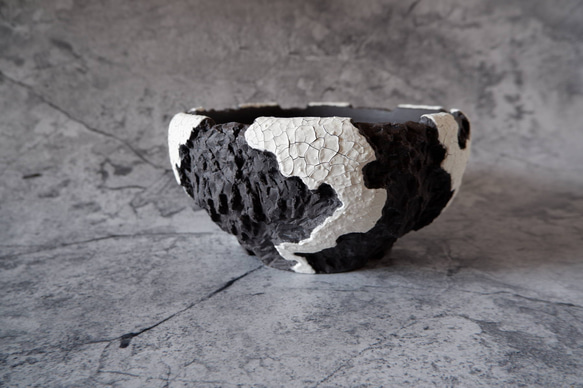 7号貫入白化粧黒平鉢374　塊根植物　多肉植物　盆栽　植木鉢　作家鉢　沖縄 3枚目の画像