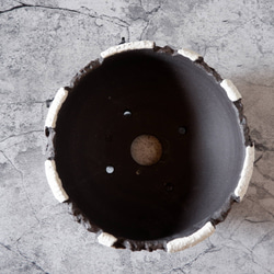 7号貫入白化粧黒平鉢374　塊根植物　多肉植物　盆栽　植木鉢　作家鉢　沖縄 5枚目の画像