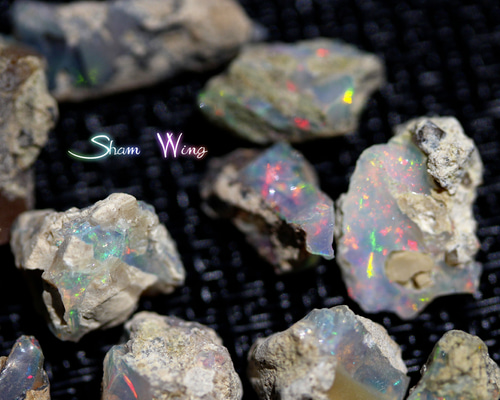 ab8b24b5a4997d4244aa06851f2d83