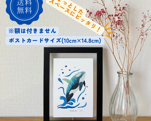 とらまる様専用 オーダーメイド 1000×600×350 【公式通販】