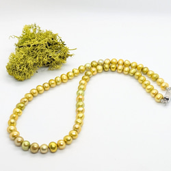 花珠のような照り/最上級磨き貝パールネックレス 9mm イヤリングorピアス付き 花珠真珠のような照り/ミガキ貝パールネックレス 9mm イヤリング