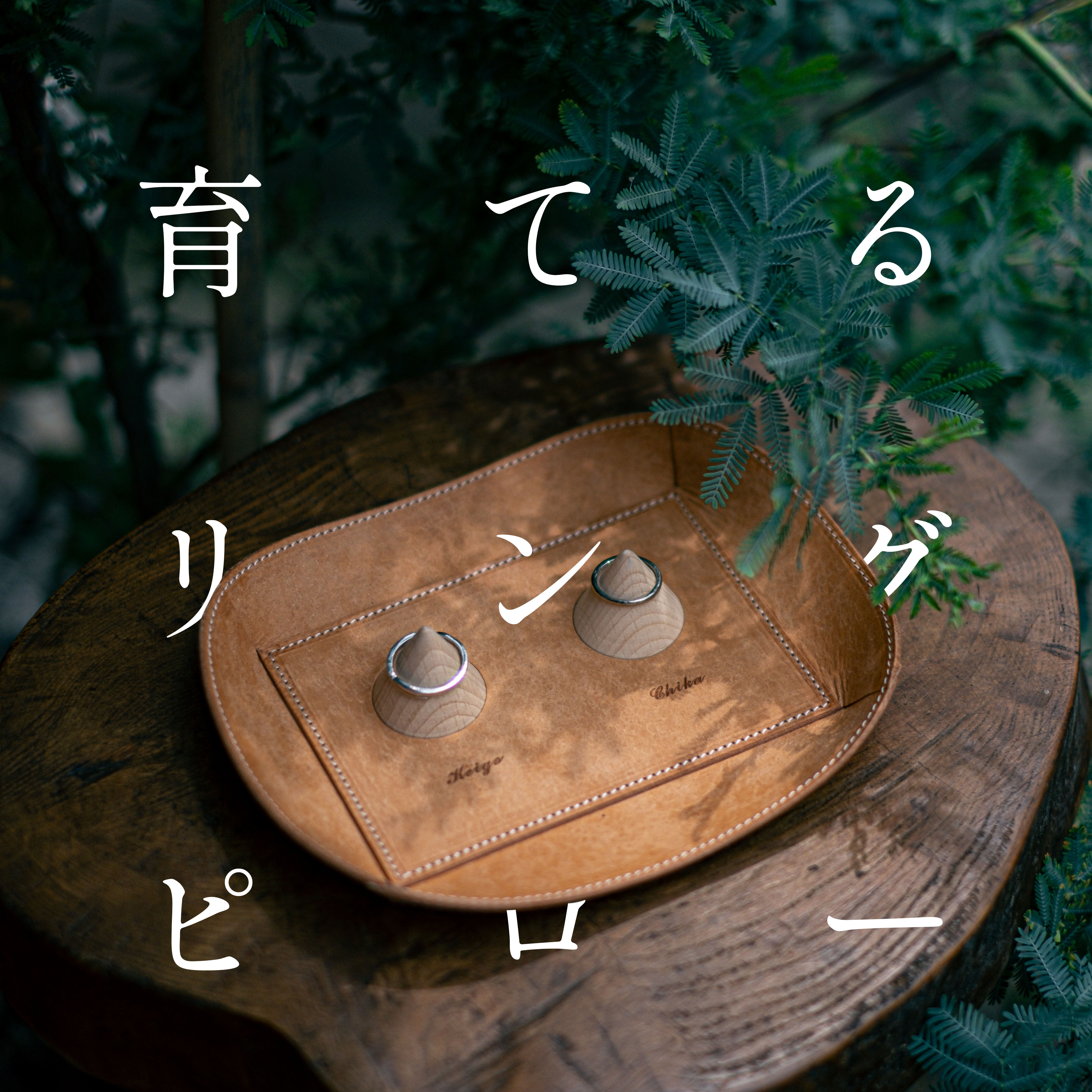 育てるリングピロー【ネーム刻印あり】