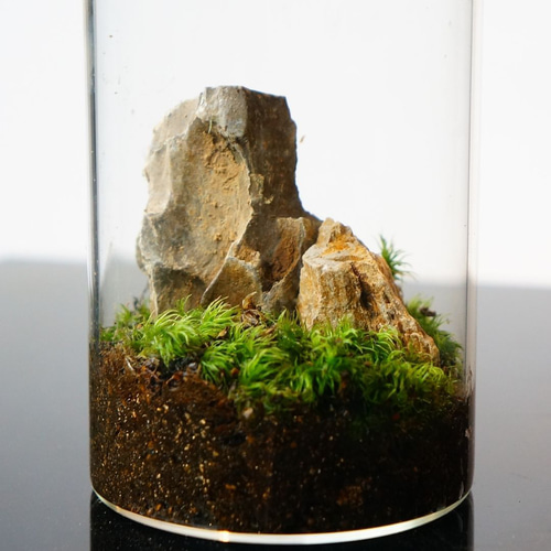 完成品】 苔テラリウム 65mm 石セット ガラスボトルテラリウム