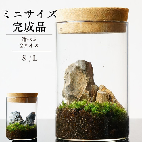 滝壺】苔テラリウム レジンアート テラリウム 苔の都 滝壺】苔テラリウム レジンアート テラリウム 苔の都