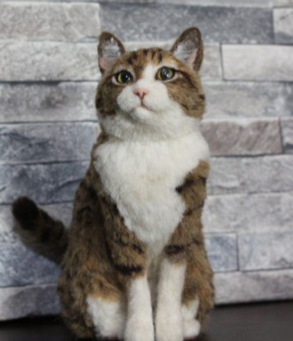 羊毛フェルトオーダーメイド、受注制作、羊毛フェルト犬、ペットロス、うちの子、リアル羊毛フェルト フェルト、羊毛 VQ3165016816(24480円)