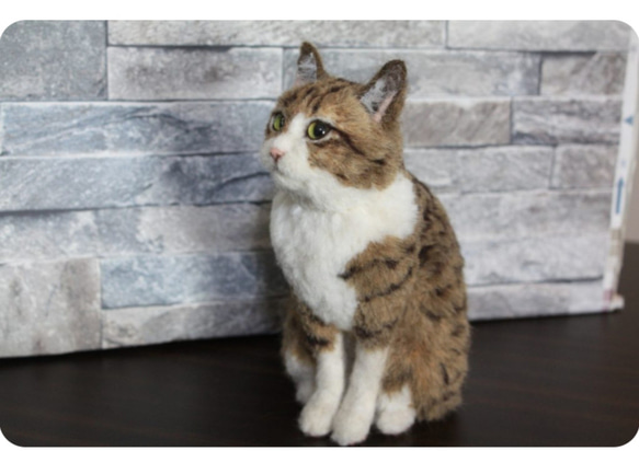 羊毛フェルトオーダーメイド、受注制作、羊毛フェルト犬、ペットロス、うちの子、リアル羊毛フェルト フェルト、羊毛 VQ3165016816(24480円)