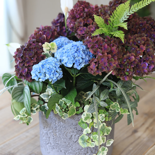 季節のお花寄せ植え  グラスファイバー 心に寄り添う 寄せ植え 存在感たっぷり 希少なシクラメン