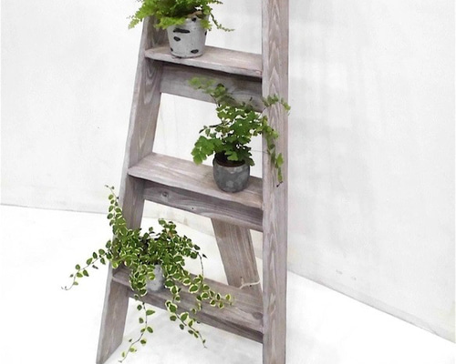 流木インテリア ラダー シャビー 流木インテリア ラダー シャビー 【公式通販】