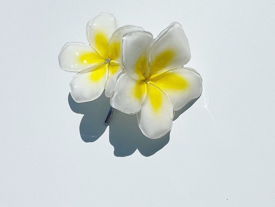 本物のお花 プルメリアのポニーフック