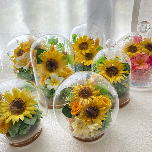 プリザーブドフラワー向日葵2輪に幸せの四葉のクローバー ガラスドーム