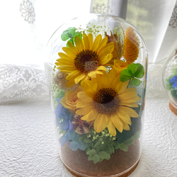 リトグラフ　一輪の花　クロード　コムレ プリザーブドフラワー バラ 枯れない花 造花 薔薇 ガラスドーム