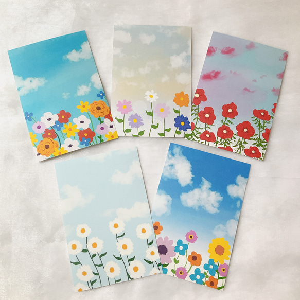 お花 5枚セット ポストカード ハガキ イラスト デザイン かわいい