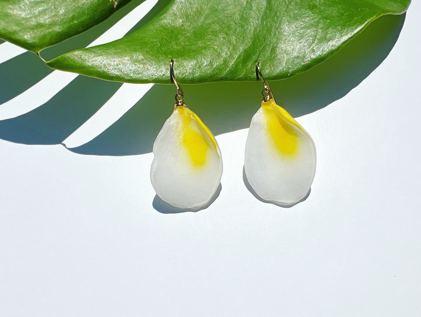 本物のお花 プルメリアの花びら (14kgfピアス/イヤリング)