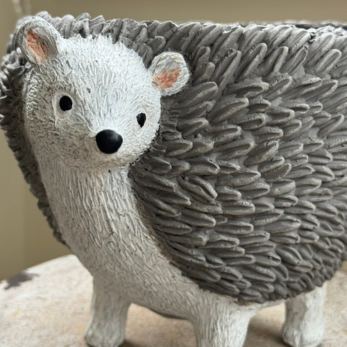 可愛いアンティーク 陶器鉢 》デボーエリソンポット 観葉植物 多肉植物