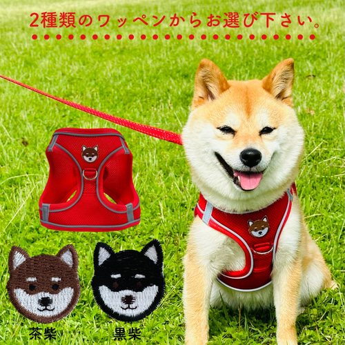 柴　ペット用リードと首輪セット 柴犬 ハーネス リード セット 首輪 犬用 ナイロン 軽量 ネックレス