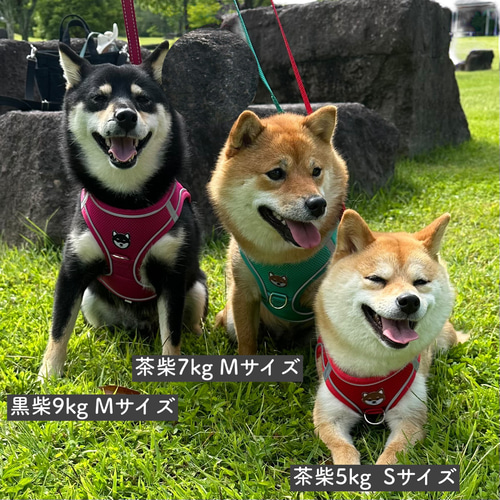 柴犬 ハーネス リード セット 首輪 犬用 ナイロン 軽量 ネックレス