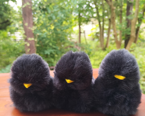 黒い鳥のぬいぐるみ 約20cm 81NcqibD3XL._AC_UL210_SR210,