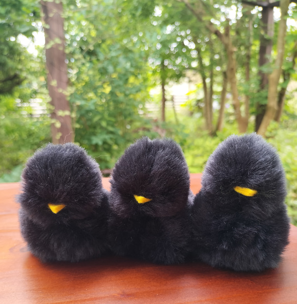 新感触！手のひらに、生きてるみたいな命の重み・重さ約75グラム、黒い 