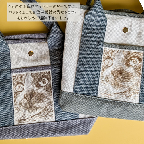 大迫力!ドアップ猫の仕切り付きショルダーバッグ ネコバッグ 大迫力!ドアップ猫の仕切り付きショルダーバッグ ネコバッグ