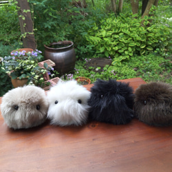 手のひらに、生きてるみたいな命の重み・もふもふのお友達/ぬいぐるみ