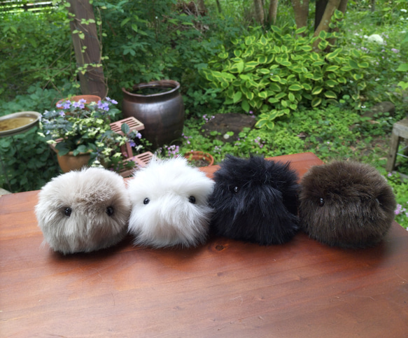 手のひらに、生きてるみたいな命の重み・もふもふのお友達/ぬいぐるみ