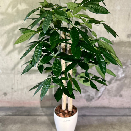光触媒 人工観葉植物 ウォールグリーン フェイクグリーン パキラ