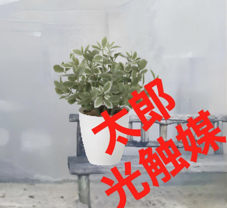 光触媒　人工観葉植物　ウォールグリーン　フェイクグリーン　ミニリーフLgpt