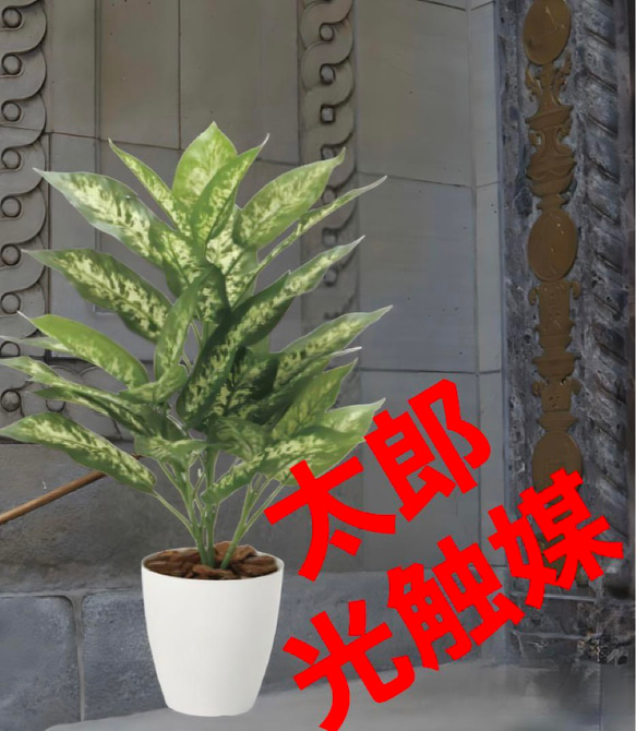 光触媒 人工観葉植物 ウォールグリーン フェイクグリーン