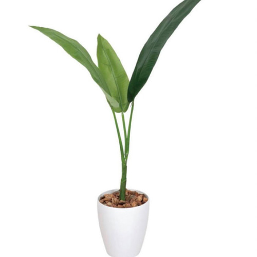 光触媒 人工観葉植物 フェイクグリーン トラベラーズパーム 高さ
