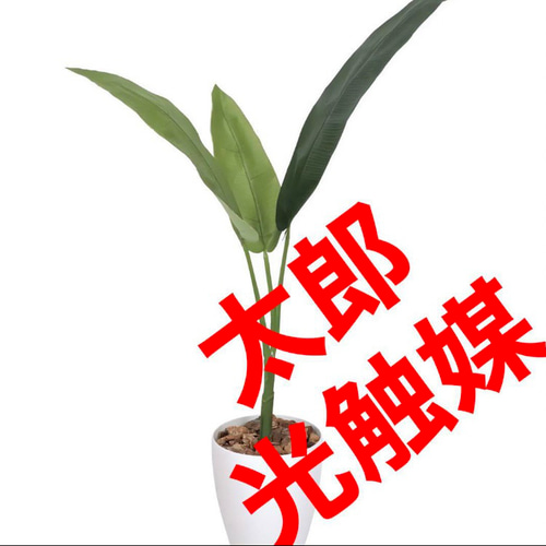 光触媒 人工観葉植物 フェイクグリーン トラベラーズパーム 高さ