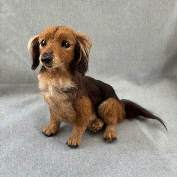 羊毛フェルト【オーダーメイド】うちの子オーダー✴︎犬✴︎愛犬✴︎ペット✴︎ハンドメイド✴︎ペットロスペットロス 羊毛フェルト【オーダーメイド】うちの子オーダー✴︎犬✴︎愛犬✴︎ペット✴︎ハンドメイド✴︎ペットロスペットロス 羊毛フェルト【オーダーメイド】うちの子オーダー✴︎犬✴︎愛犬✴︎ペット✴︎ハンドメイド✴︎ペットロスペットロス O2411548819(18400円)