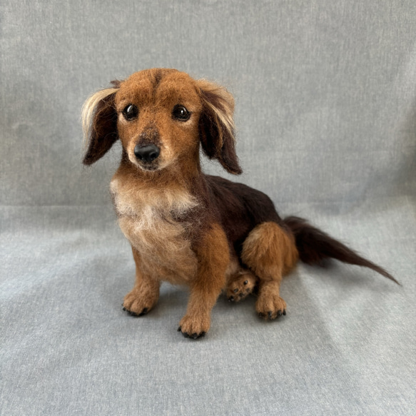 羊毛フェルト【オーダーメイド】うちの子オーダー✴︎犬✴︎愛犬✴︎ペット✴︎ハンドメイド✴︎ペットロスペットロス 羊毛フェルト【オーダーメイド】うちの子オーダー✴︎犬✴︎愛犬✴︎ペット✴︎ハンドメイド✴︎ペットロスペットロス 羊毛フェルト【オーダーメイド】うちの子オーダー✴︎犬✴︎愛犬✴︎ペット✴︎ハンドメイド✴︎ペットロスペットロス O2411548819(18400円)