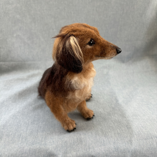 オーダー品　羊毛フェルト犬 羊毛フェルト【オーダーメイド】うちの子オーダー✴︎犬✴︎愛犬