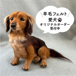 羊毛フェルト【オーダーメイド】うちの子オーダー✴︎犬✴︎愛犬