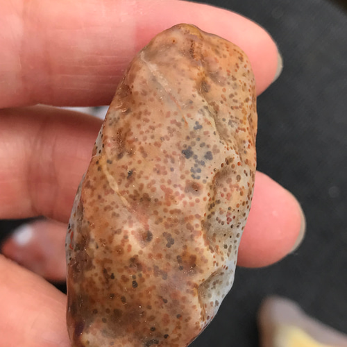 ゴビ石−1268 ゴビ瑪瑙 原石セット 大粒 その他置物 KIKI 通販