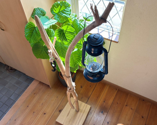 897ef60ec5fcbfd0547ea96644a688