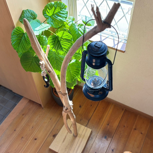 流木のポールハンガー③ ハンガーラック 帽子掛け 什器 ディスプレイ