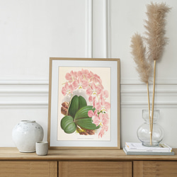 花 絵画 ポスター （大） NO.589】胡蝶蘭フラワーアートポスター☆ピンク色開店祝い癒し