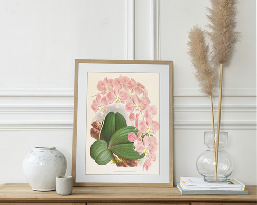NO.589】胡蝶蘭フラワーアートポスター☆ピンク色開店祝い癒し