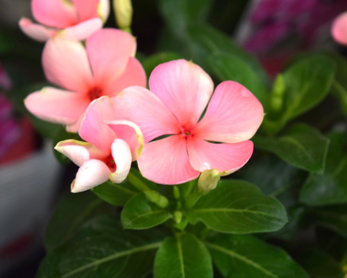 d5f77a8dd52b3fd11c9f95f162ce0e