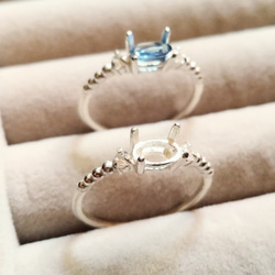 銀貨】庭猫 フィジー 2022年 1オンス シルバーコイン カラー版【純銀