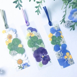 四葉のクローバーいり押し花しおり しおり・ブックマーク