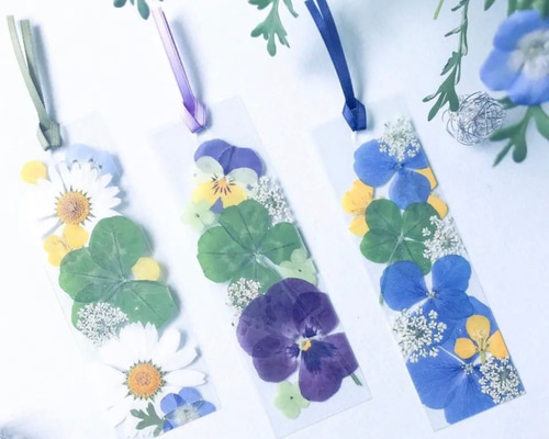 高山植物押し花しおり(希少)